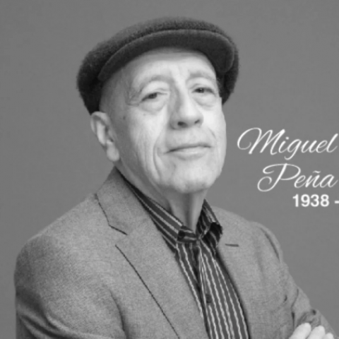 Miguel Peña