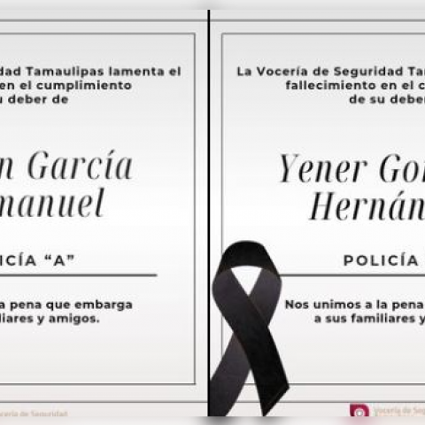 Elementos fallecidos