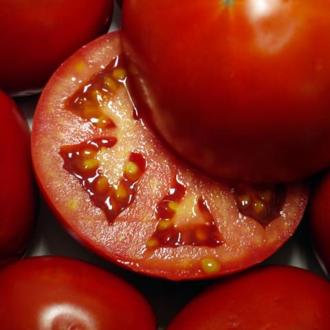 Jitomates 