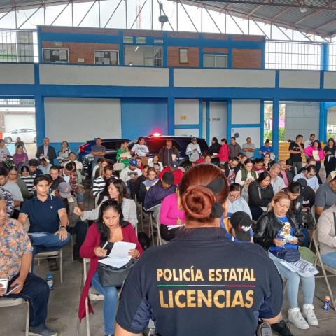 Licencias