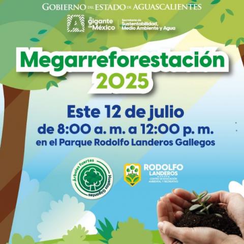 Megarreforestación 