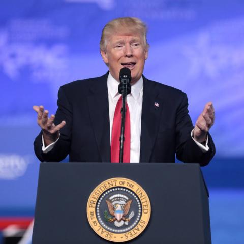 Donald Trump 
