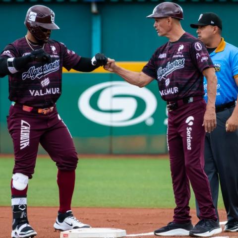 Rieleros