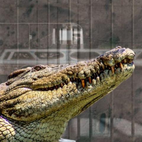 Trump inaugura el 'Alligator Alcatraz', la prisión migratoria rodeada de caimanes