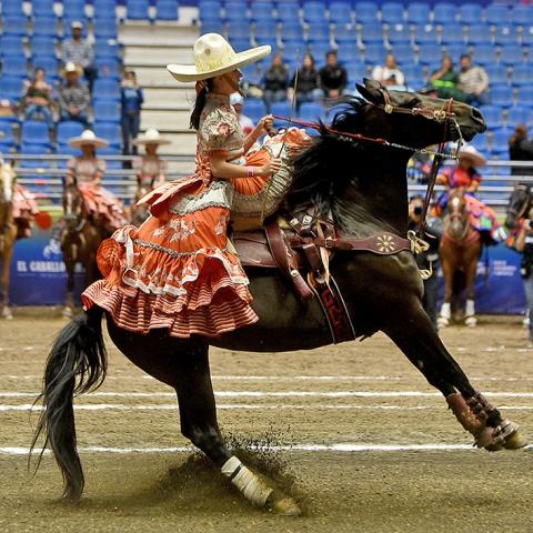 Campeonato Nacional Charro Infantil, Juvenil y de Escaramuzas