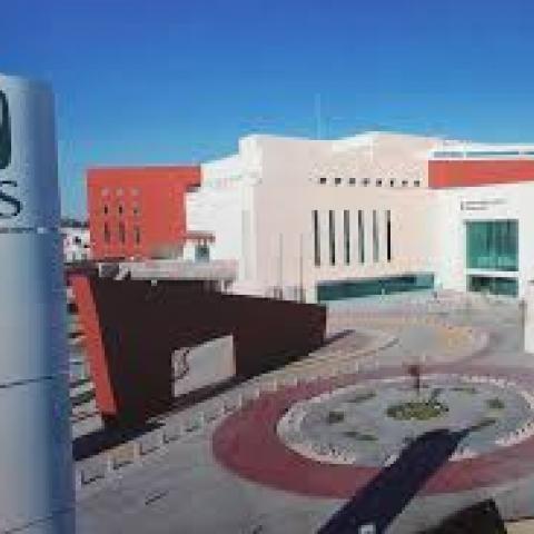 IMSS