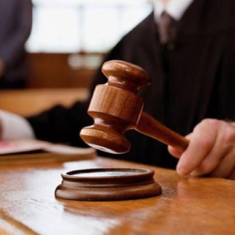 Tribunal