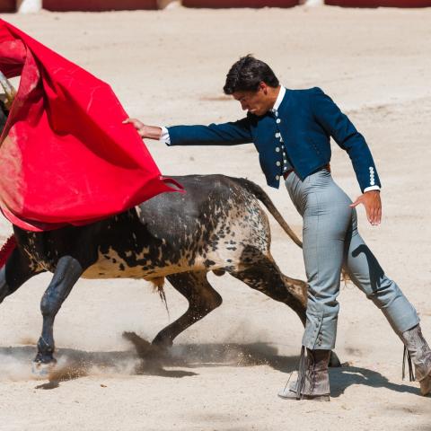 A la gente no le gustan, son inviables: Secretaría de Turismo rechaza corridas de toros sin violencia