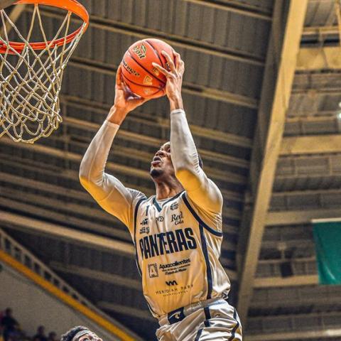 Panteras 103-105 Mineros