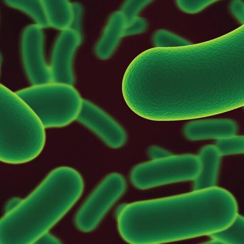 Profeco alerta por champú contaminado: podría causar infecciones