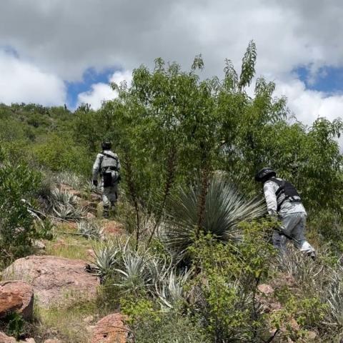Calvillo realiza labores de inspección permanente: Alcalde descarta presencia criminal en zonas serranas del municipio
