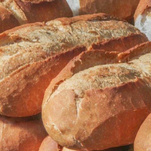 Buscan denominación de origen para bolillo aguascalentense