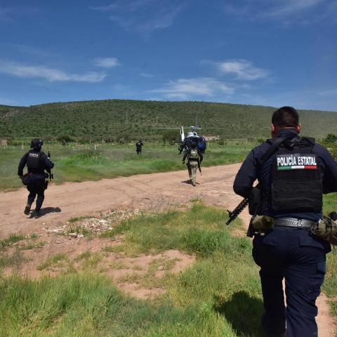 Operativo para desmantelar campamento criminal en Rincón de Romos