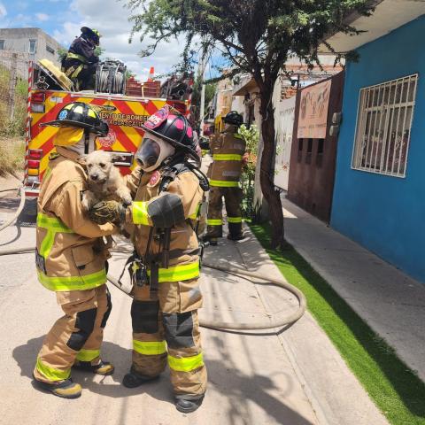 incendio 