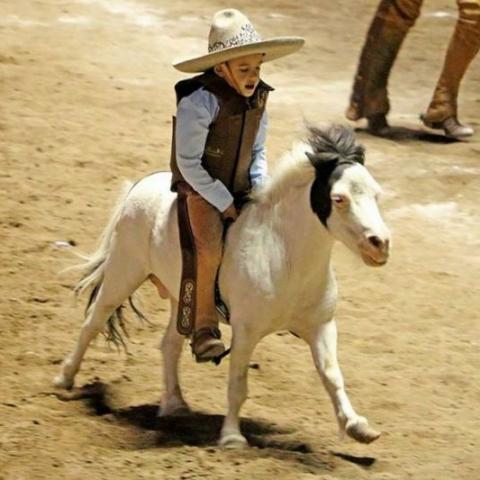 nacionalito charro