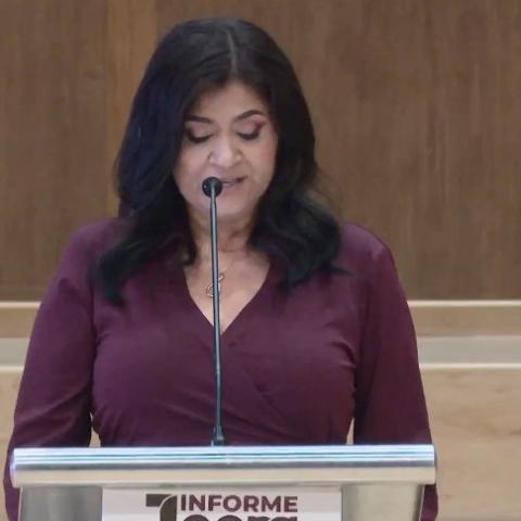 informe legislativo
