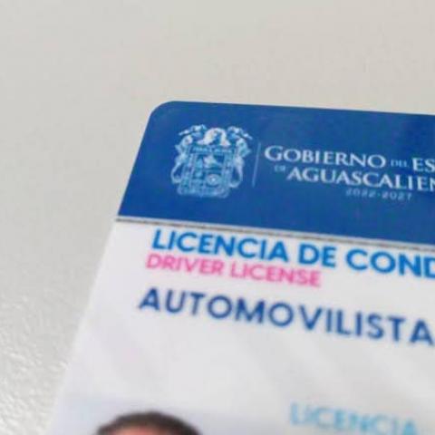 licencia