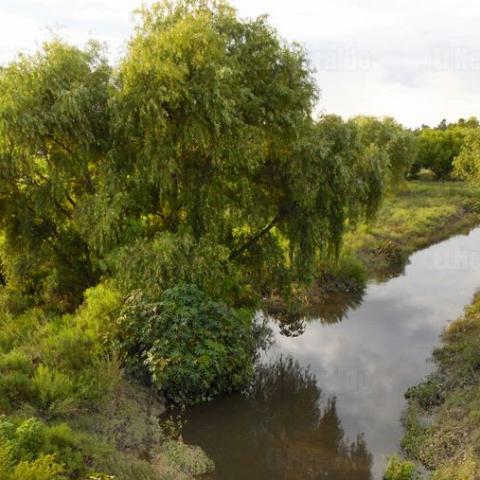 Río San Pedro
