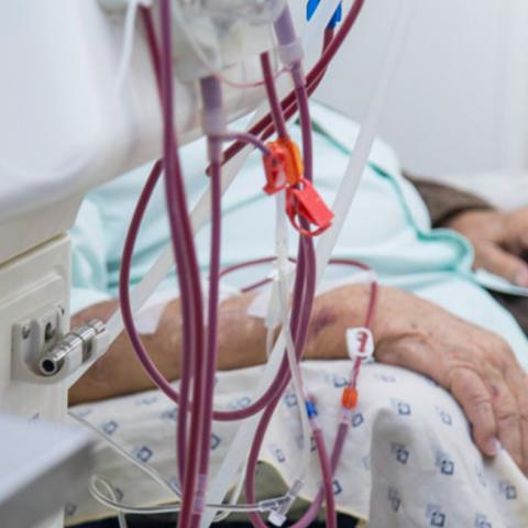 pacientes renales 