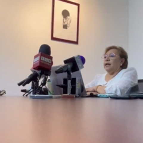 María del Carmen Corchado, integrante del Colegio de Economistas en Aguascalientes