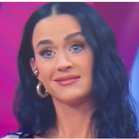 Fan mexicano de Katy Perry se disculpa en pleno show de la cantante por lo vivido en "Venga La Alegría"