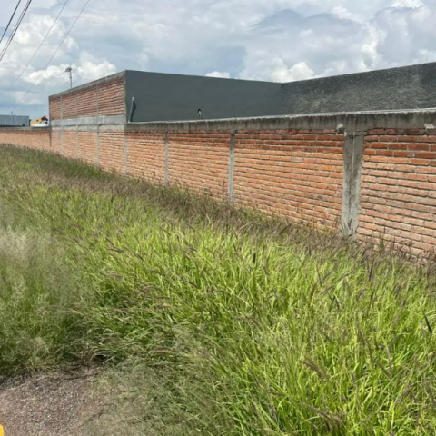 Localizan cabeza humana en Viñedos San Felipe