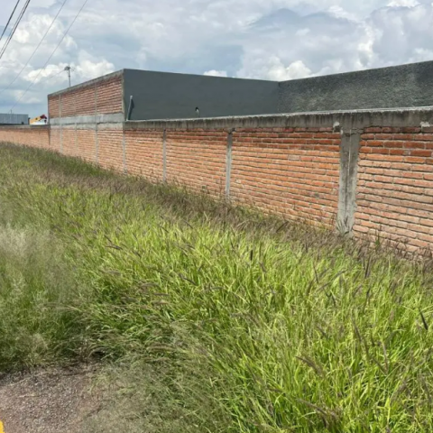 Hallazgo de cabeza humana en Viñedos San Felipe