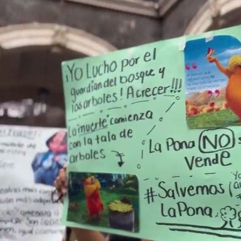 Manifestación de ambientalistas en Palacio de Gobierno