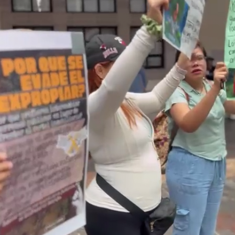 Ambientalistas se manifiestan en Palacio de Gobierno