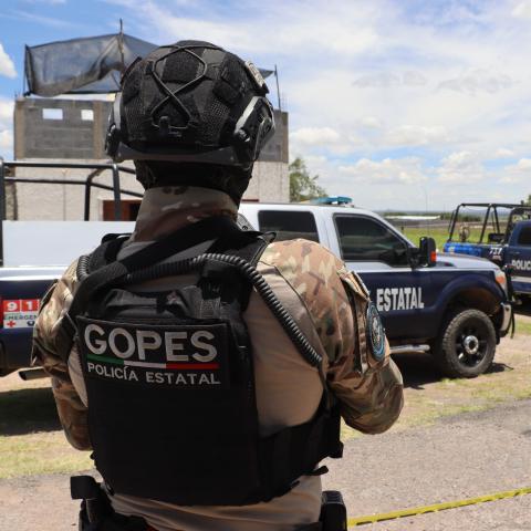 GOPES 