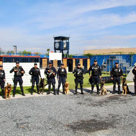 Grupo Especial K9