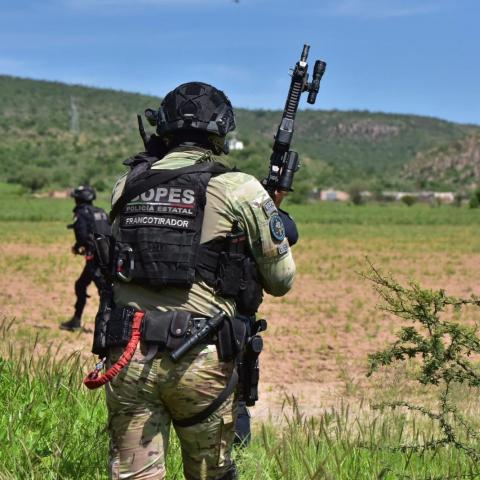 Operativo para desmantelar campamento criminal en Rincón de Romos