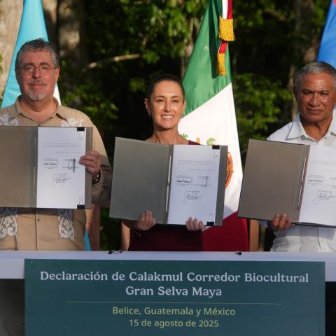 Mandatarios de Guatemala, México y Belice
