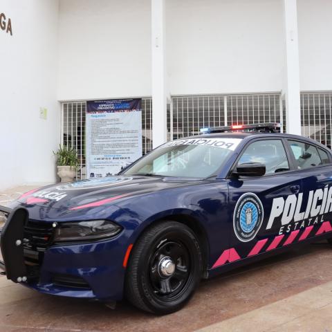 Policía Rosa