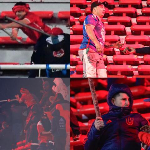 VIOLENCIA INDEPENDIENTE U DE CHILE