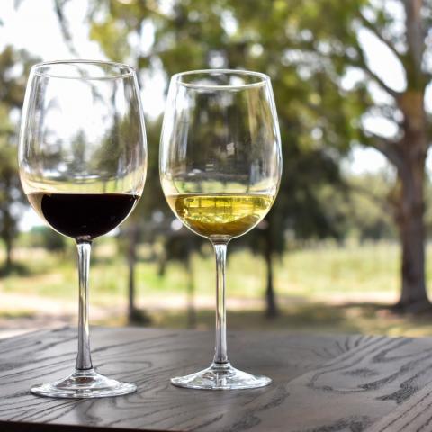 Vinos