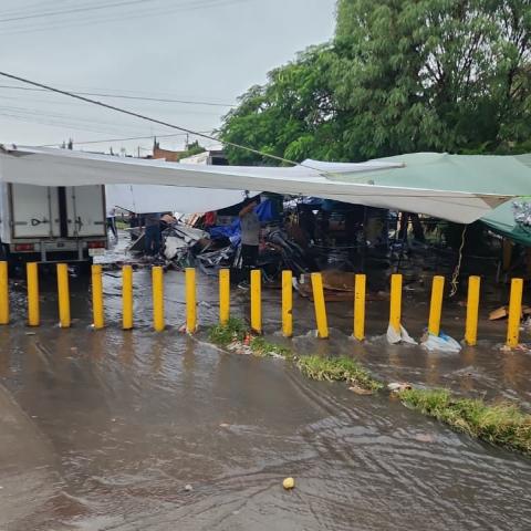Tianguis