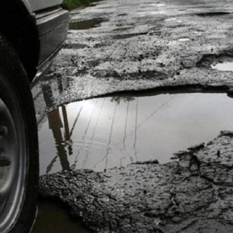 Baches