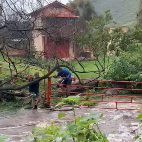 ahogado