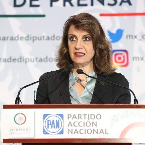 María Elena Pérez-Jaen Zermeño