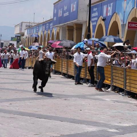 Policía Estatal no está capacitada para interceder en emergencias ante encierro taurino