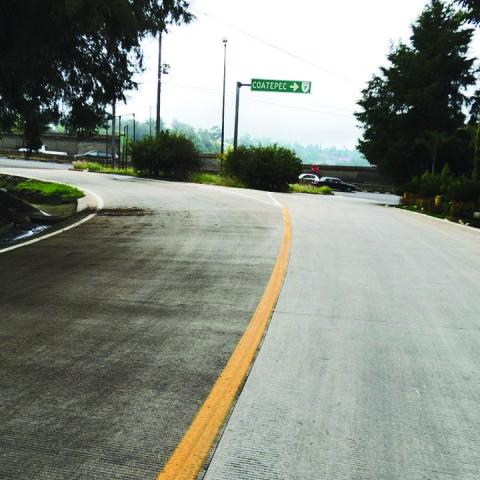 Baches