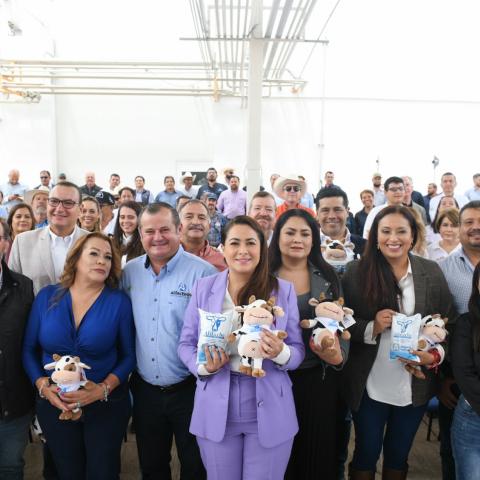 Alileche