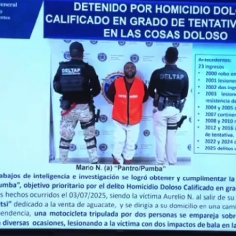 Mario "N", alias "Pantro", presunto responsable de intento de asesinato contra aguacatero