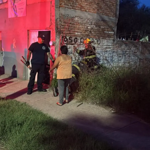Ladrón muere tras ser atacado por perros