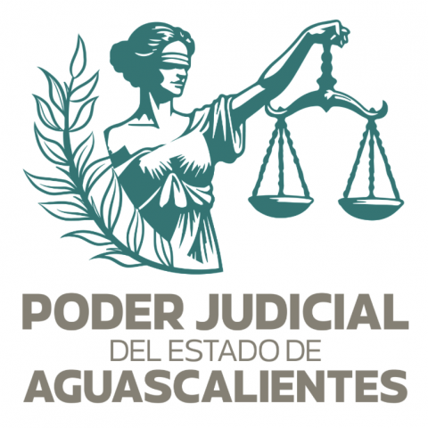 poder judicial 