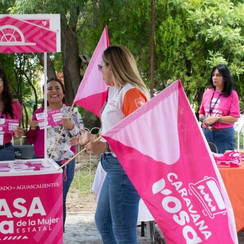 Caravana Rosa 