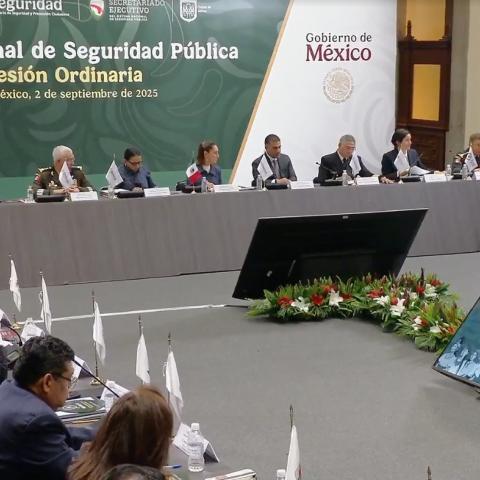 Consejo Nacional de Seguridad Pública
