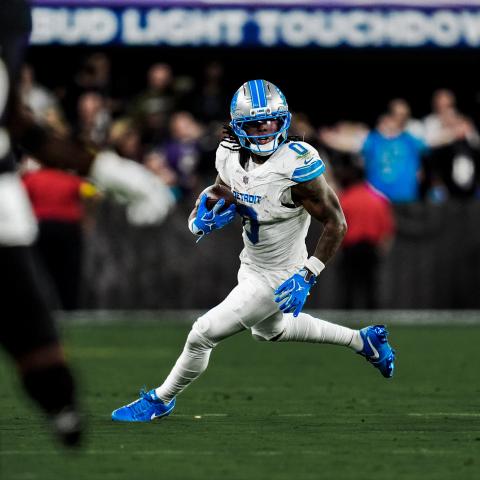 LIONS VS RAVENS 2025