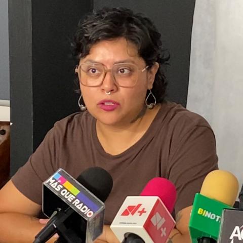 No preocupa posible Instituto del Hombre, dudamos de fortaleza del PRI para presentar algo: Colectivos